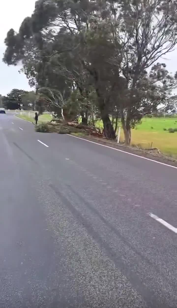 How exactly are these wind turbines supposed to work?