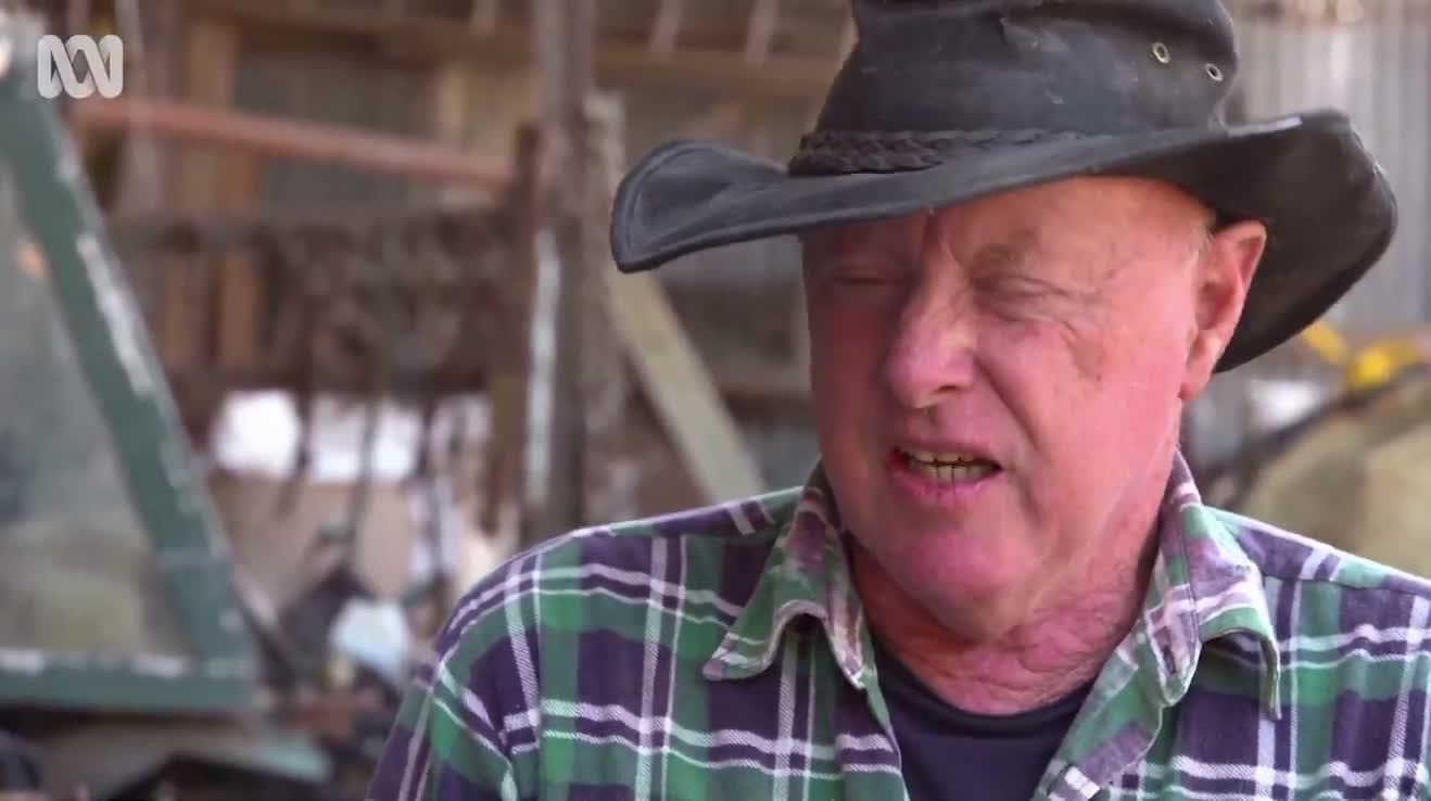 Rob Wilson, a world-renowned Tasmanian chicken breeder with a combination of male and female anatomy, underwent surgery when he was three days old.  “I went to the toilet like a male. So t...