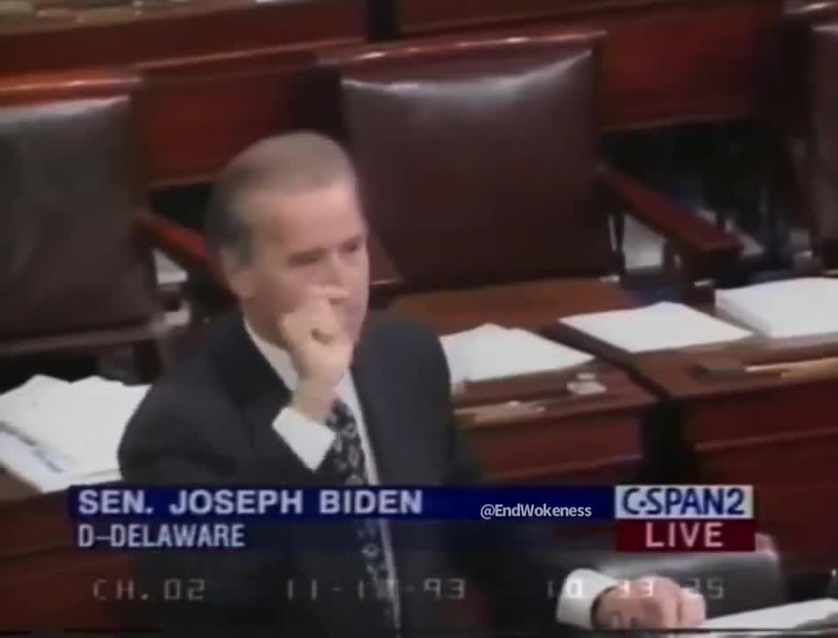 Biden on urban crime (1993):  