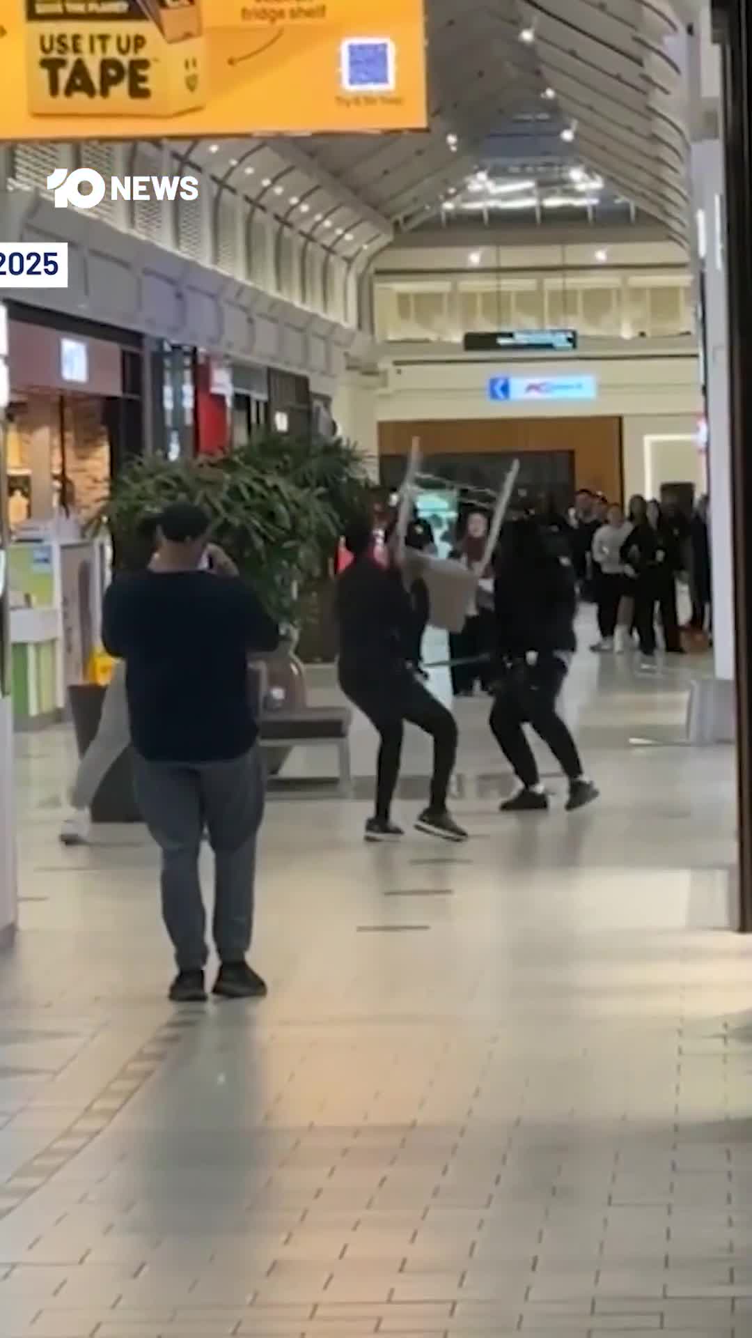The machete brawl inside the Broadmeadows Central shopping centre comes after Victoria’s machete ban came into effect in September  Do politicians and judges feel they deserve a bravery aw...