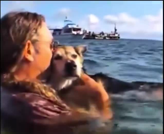 A man held his dog in the water every day so arthritis wouldn't stop him from sleeping peacefully