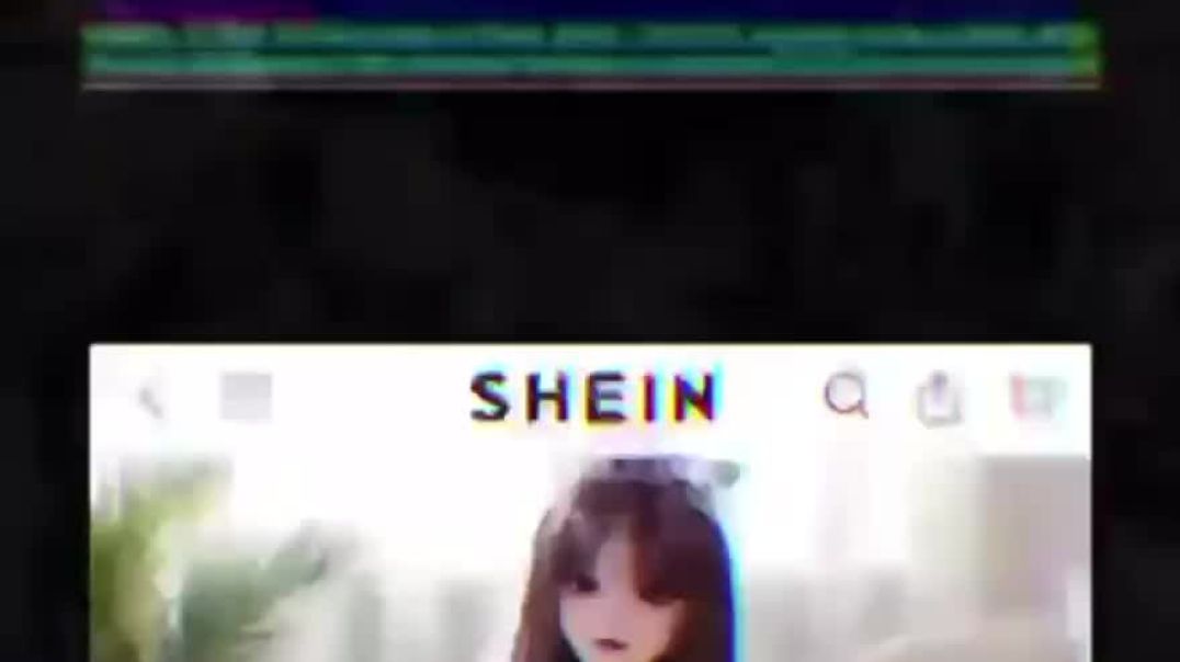 The Australian Government has some explaining to do!!!  Why are they allowing this?