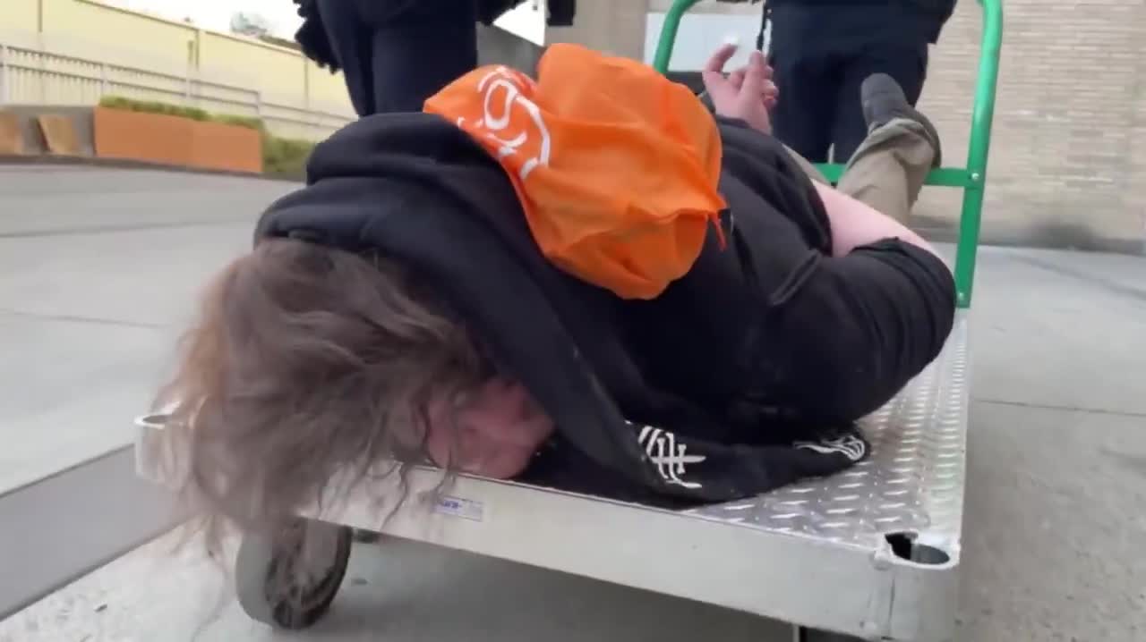 This was one of the Portland anti-ICE protestors — refused to walk, so ICE gave her a ride 🤣