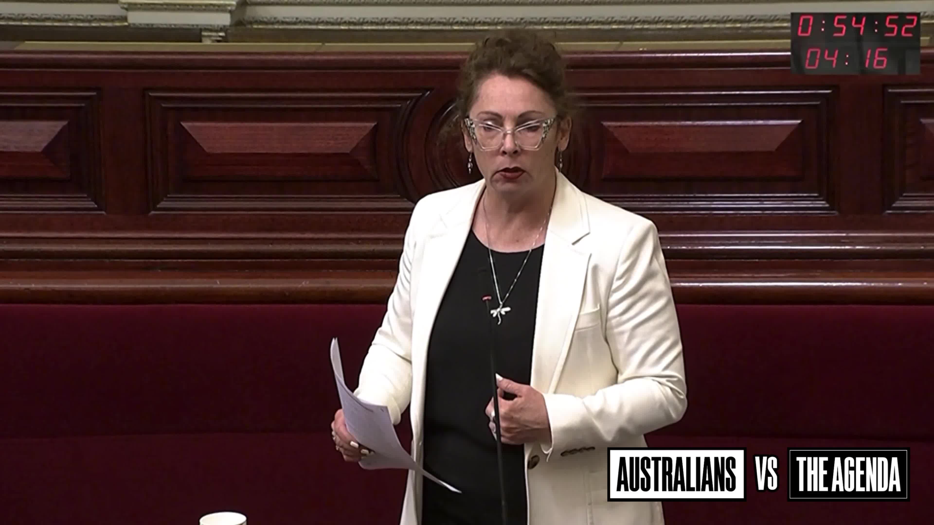 Victorian Labor MP Sonja Terpstra says nobody in her electorate cares about the issue of burning the Australian flag, dismissing the debate as nationalism dressed up as division. The motion...