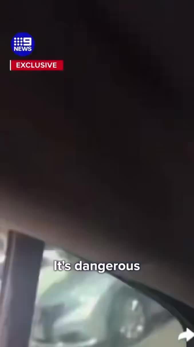 A pregnant 19-year-old has been arrested after leading police on a wild police chase on the Pacific Highway on Tuesday  This is insane