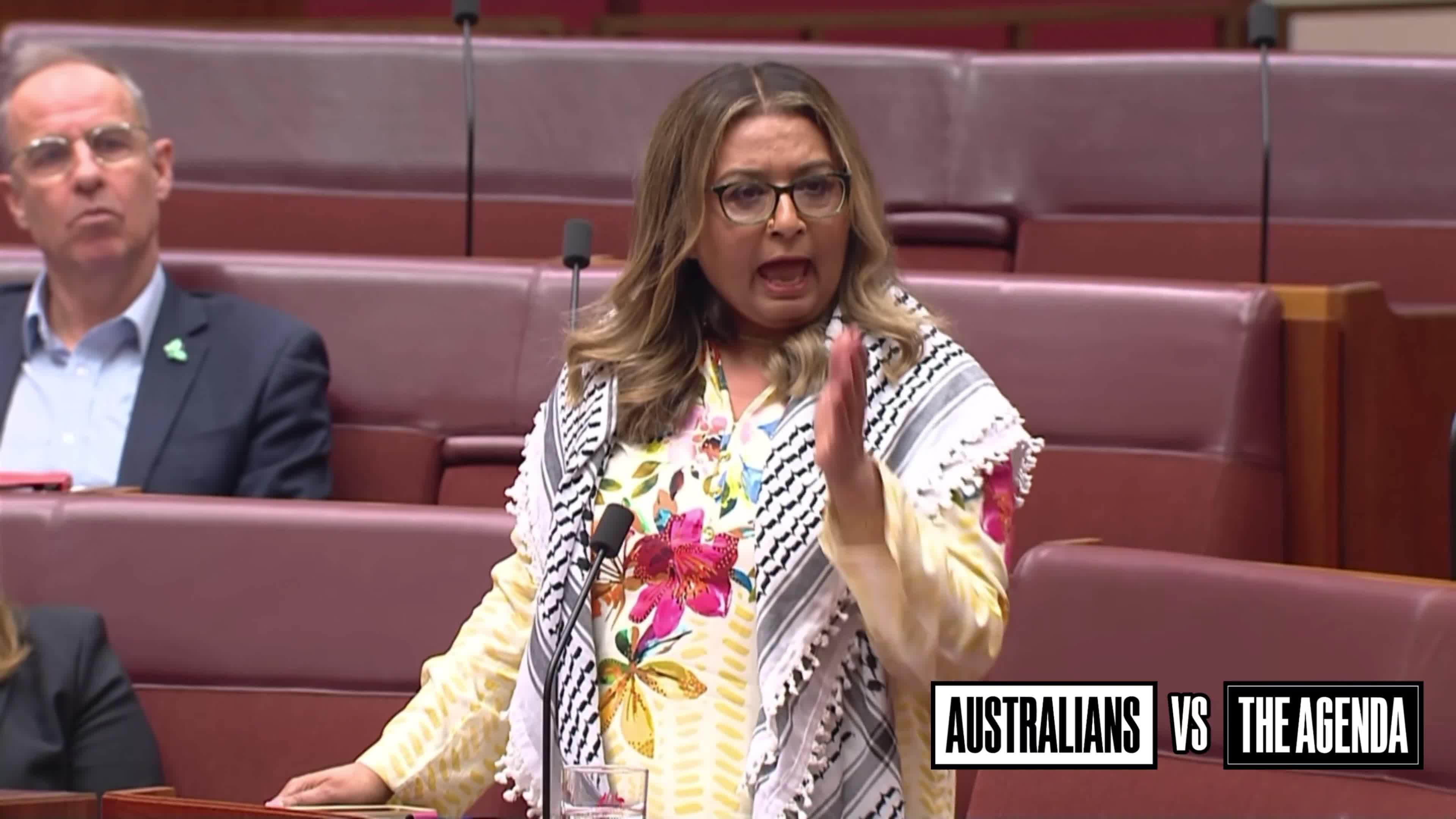 Senator Bridget McKenzie has clashed with Mehreen Faruqi after being accused of “supporting a genocide,” saying she is “sick and tired of being labelled a supporter of genocide just be...