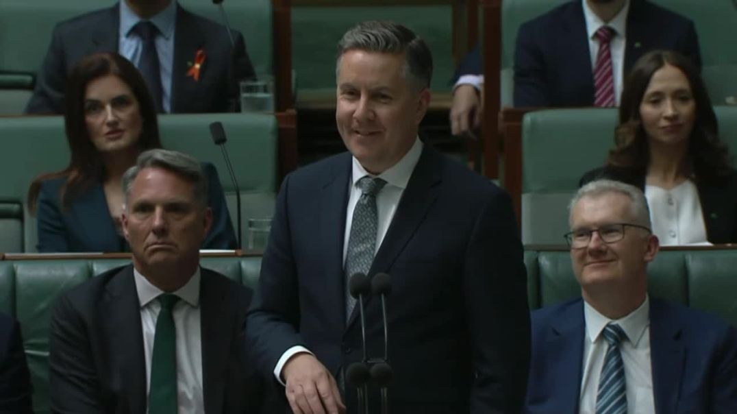 The lights went out in the House of Representatives just moments after Energy Minister Chris Bowen finished praising renewable energy and during the response that followed from Mark Butler.