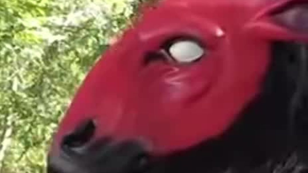 🤦‍♀️Im lost for word.... seriously!