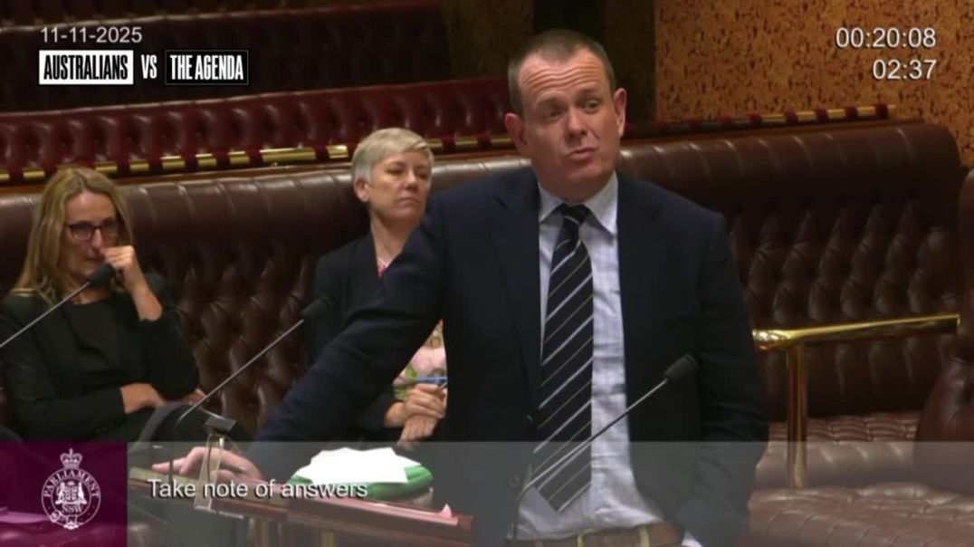 NSW Labor MLC Stephen Lawrence says that “whether you like Nazis or not,” the NSN didn’t need to register their protest through a Form 1 because “all they were doing was standing on a footpath.”