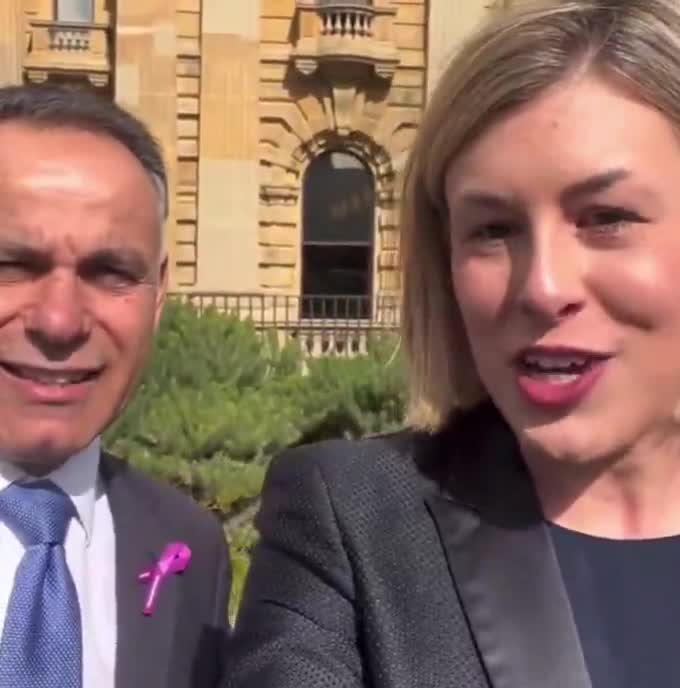 Jess Wilson has made history as the first female Victorian Liberal leader, becoming the party’s third leader in less than one year