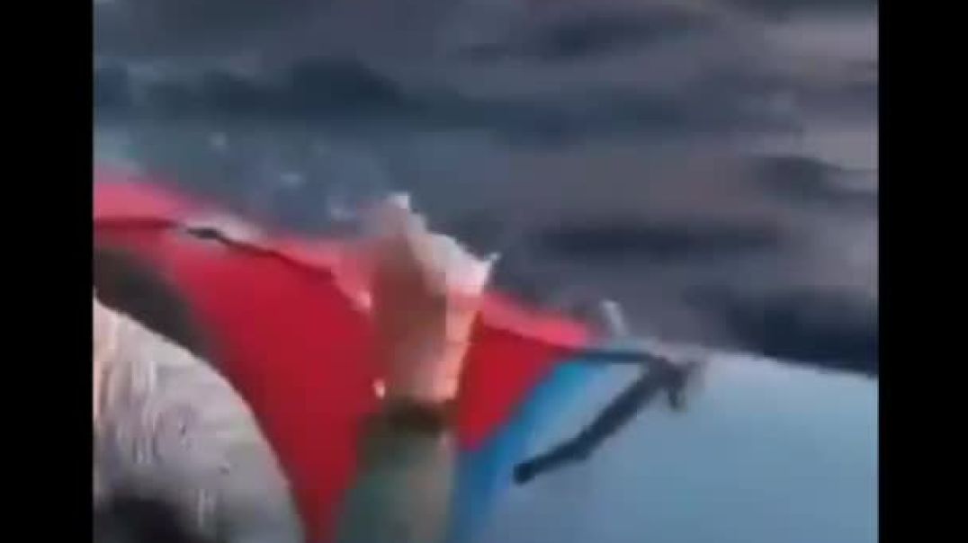 Human right groups are losing a shit because the Greek Coast Guard not only rammed a boatload of Muslims attempting to illegally enter Greece, but also pushed them back into Turkey so they can live wi