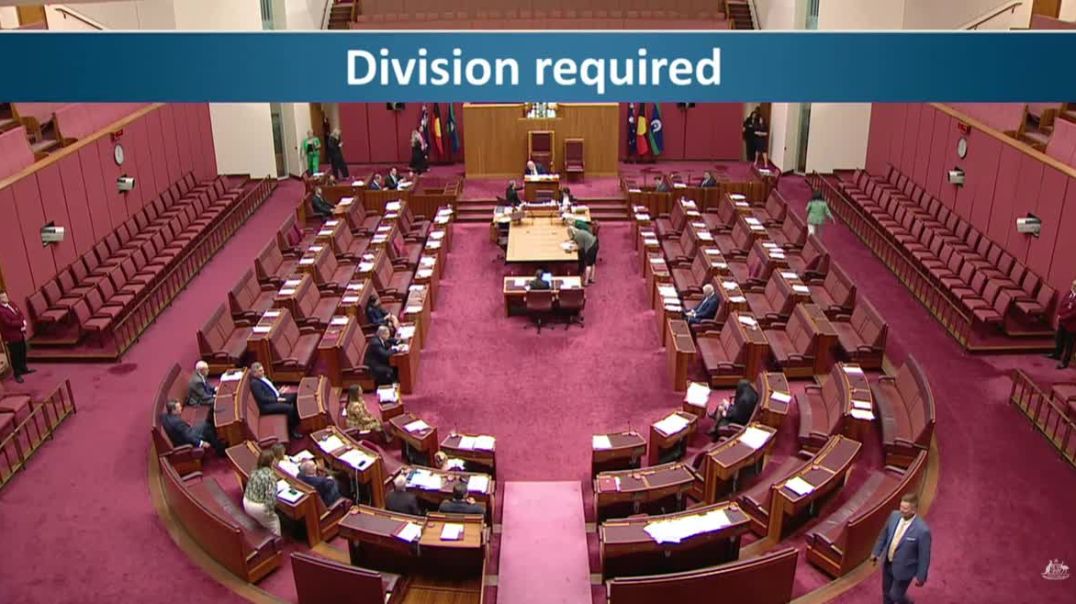 Pauline Hanson has worn a burqa into the Senate after she was barred from tabling a bill calling for Islamic face-coverings to be banned, sparking accusations of "racism".