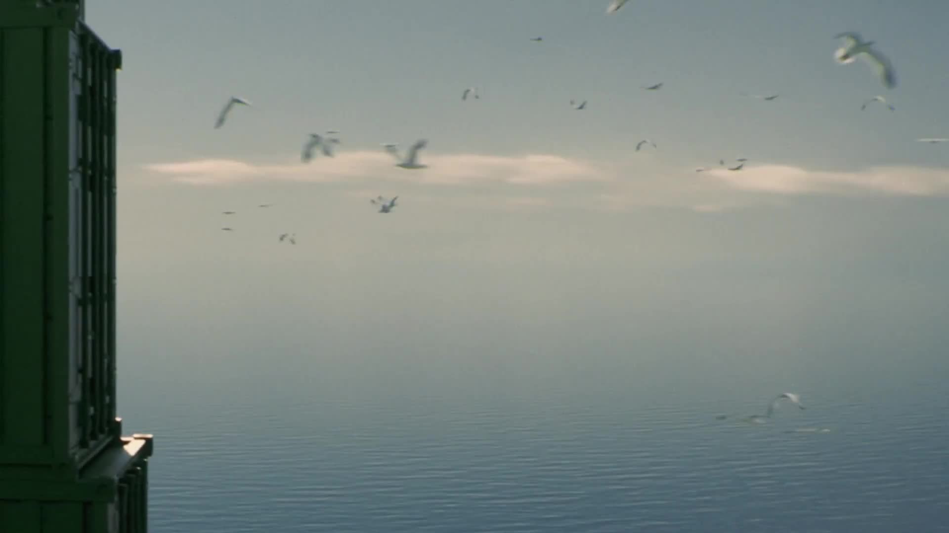 Every year, the Fed prints enough dollars to fill 26,000 shipping containers.