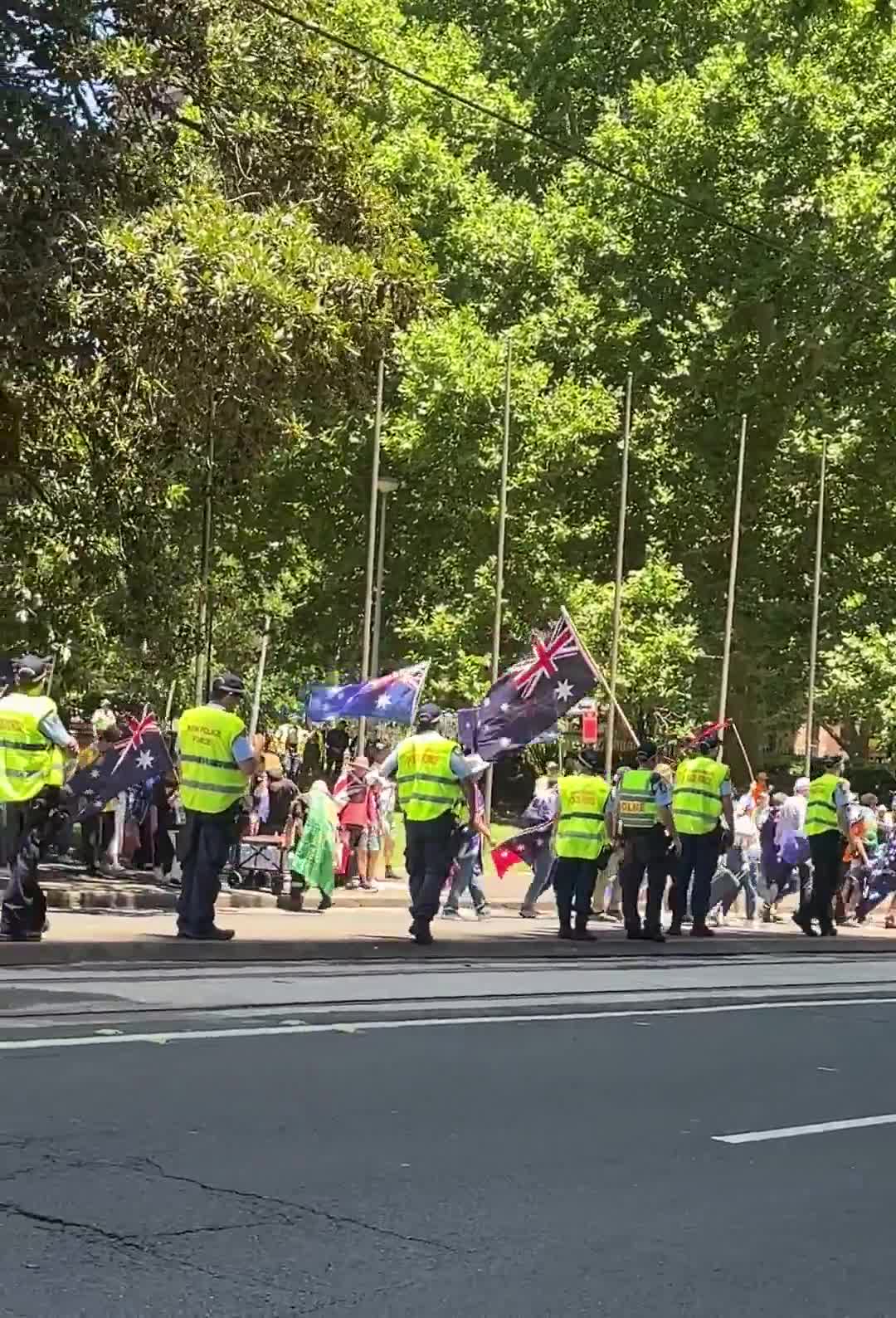 This is the entire crowd.