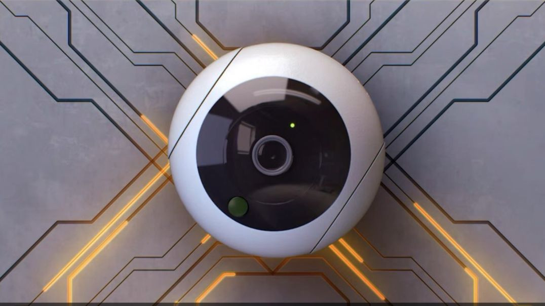 Algorithmic Pricing and the American Social Credit Score