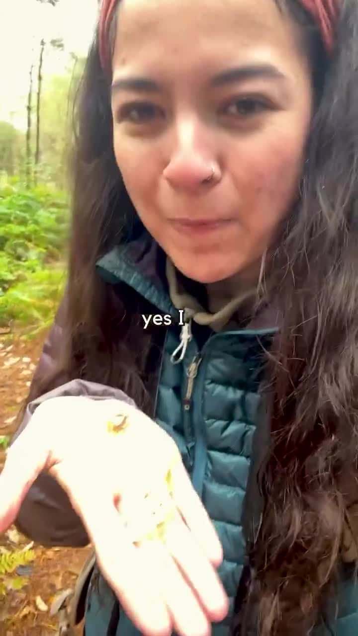 “Let’s talk about the Mushroom Conspiracy”  “Then there’s one Mushroom that’s illegal to pick - that’s the Magic Mushroom”  “Mushrooms to helps with depression”