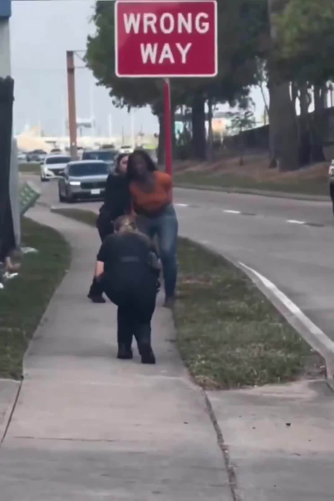 2 female cops try to arrest a suspect