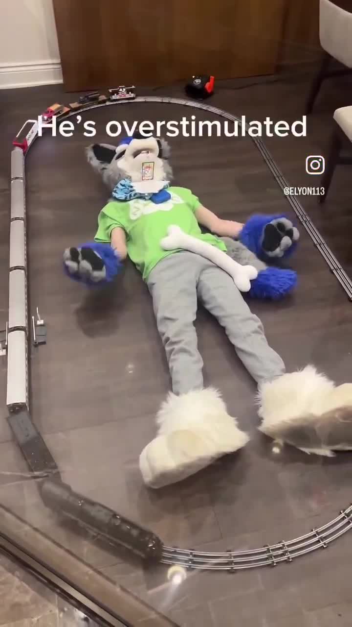 Meet “Elyon Badger.” He’s a furry running as a Democrat for Congress in Michigan.  This is real.