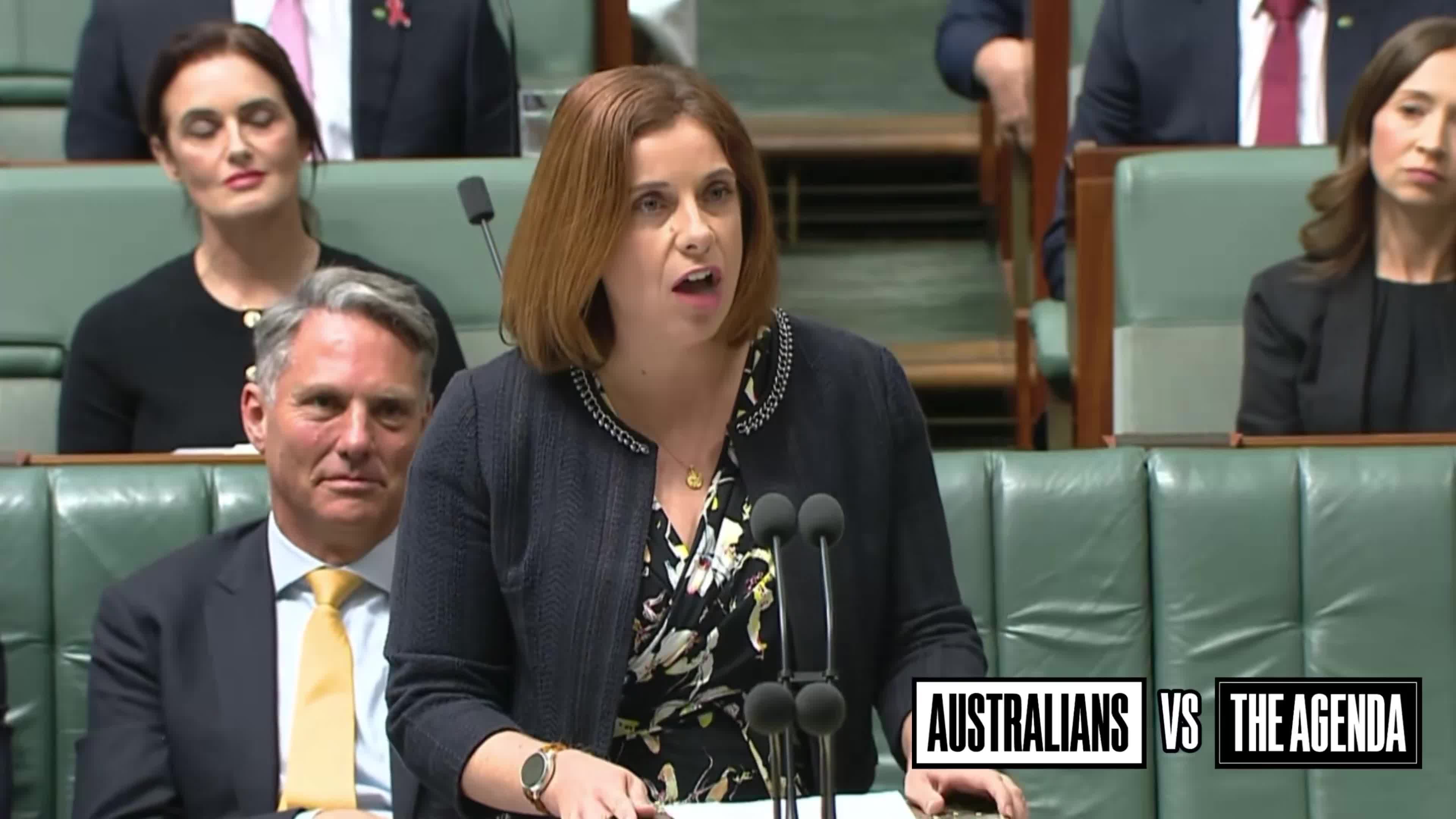 Communications Minister Anika Wells has accused Shadow Communications Minister Melissa McIntosh of working with 