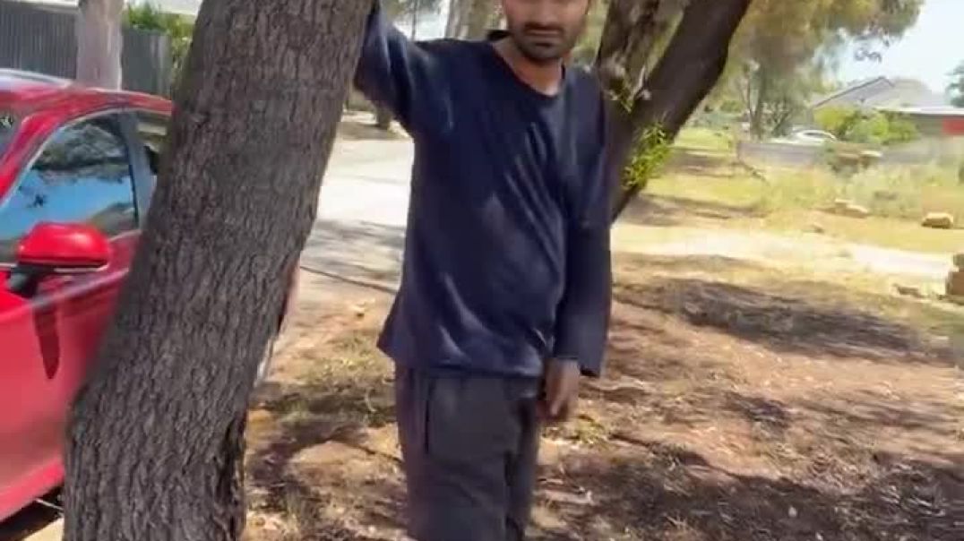 Aussie catches immigrant about to defecate in the street in Adelaide in broad daylight.