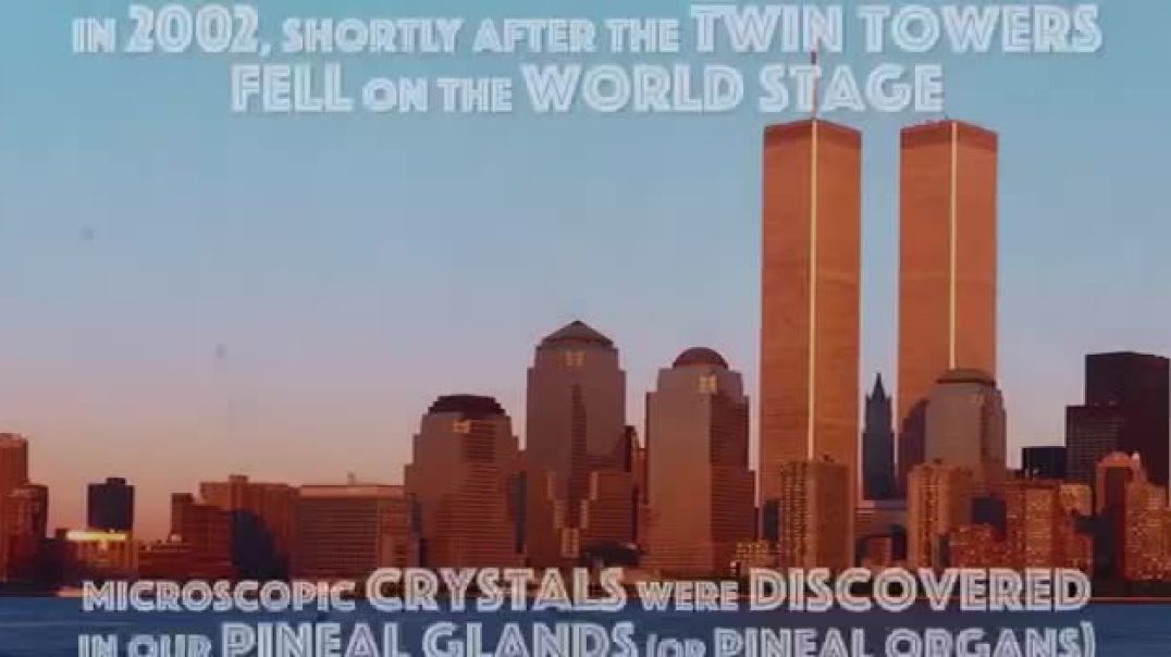 Holy shit this was a wild ride! So many syncs.   Also verified the date that micro crystals were discovered in pineal gland was 2002