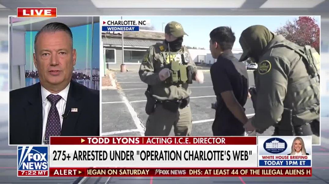 WATCH: Acting I.C.E. Director Todd Lyons says I.C.E. is going after the "worst of the worst" — but illegally entering the country is a crime in itself.