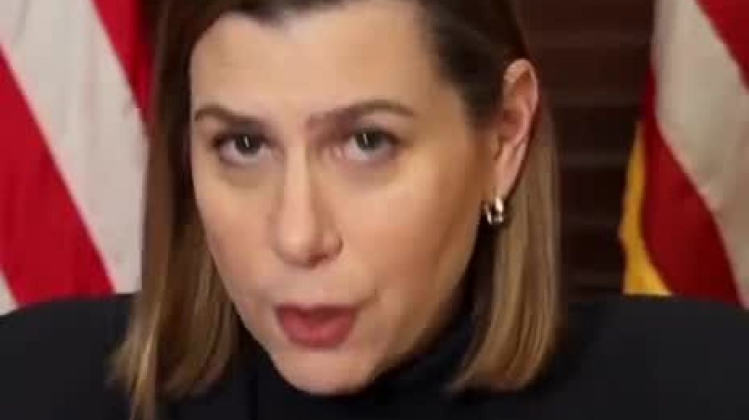 Senator Elissa Slotkin:  Earlier today, the President threatened all of us who put out an innocent little video calling for sedition.