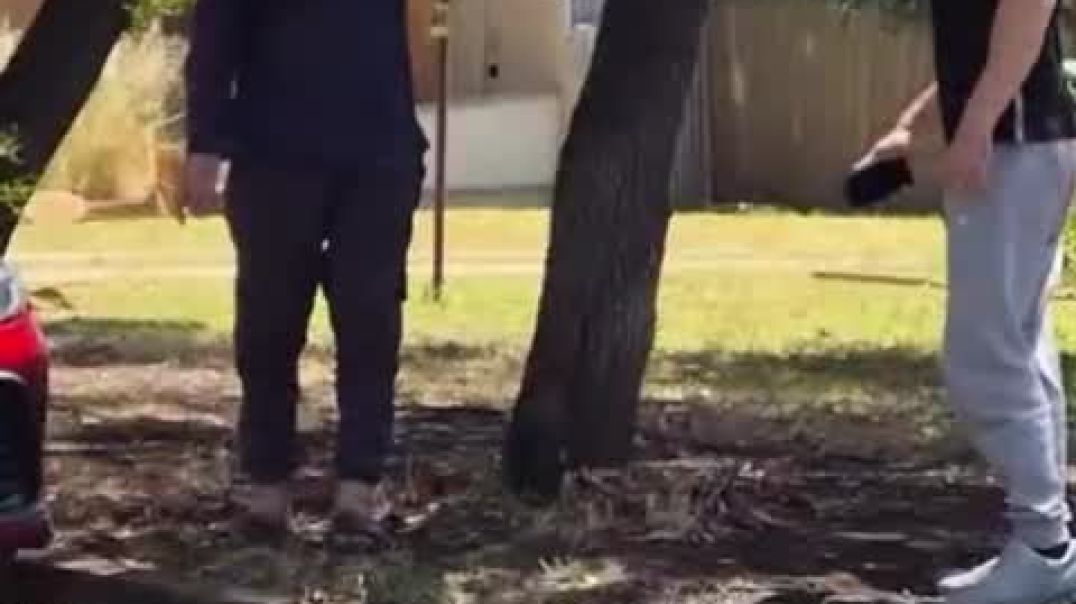 More video of Aussie confronting immigrant for shitting on an Adelaide street.