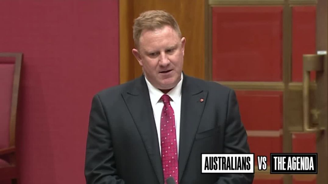 Labor Senator Josh Dolega has criticised Australians who “celebrate in the name of being patriots” while arguing against immigration.
