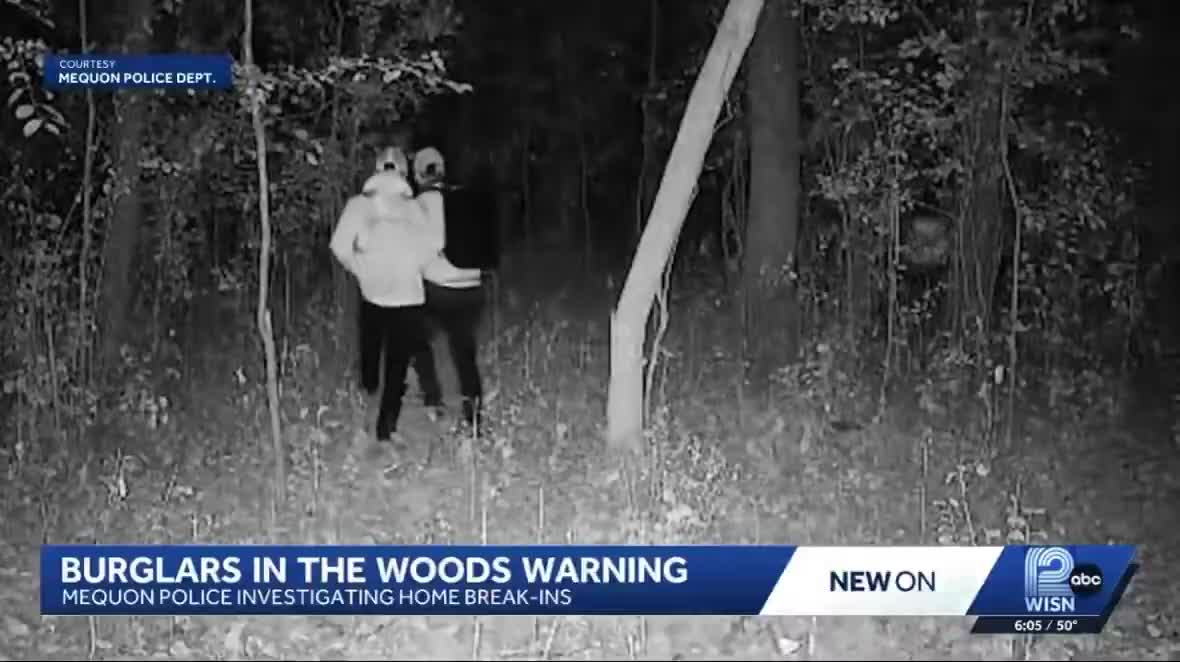 Foreign gangs are t*rrorizing residents in Mequon, Wisconsin  Democrats did this.