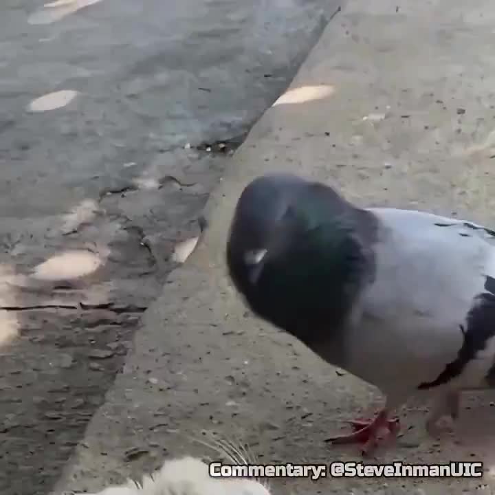 Pervert gets smacked into oblivion.