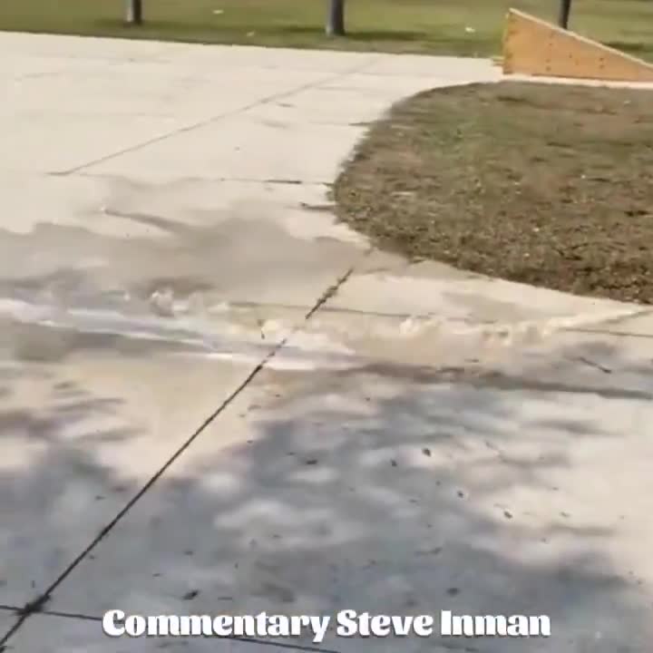 From TikTok to ShiTok