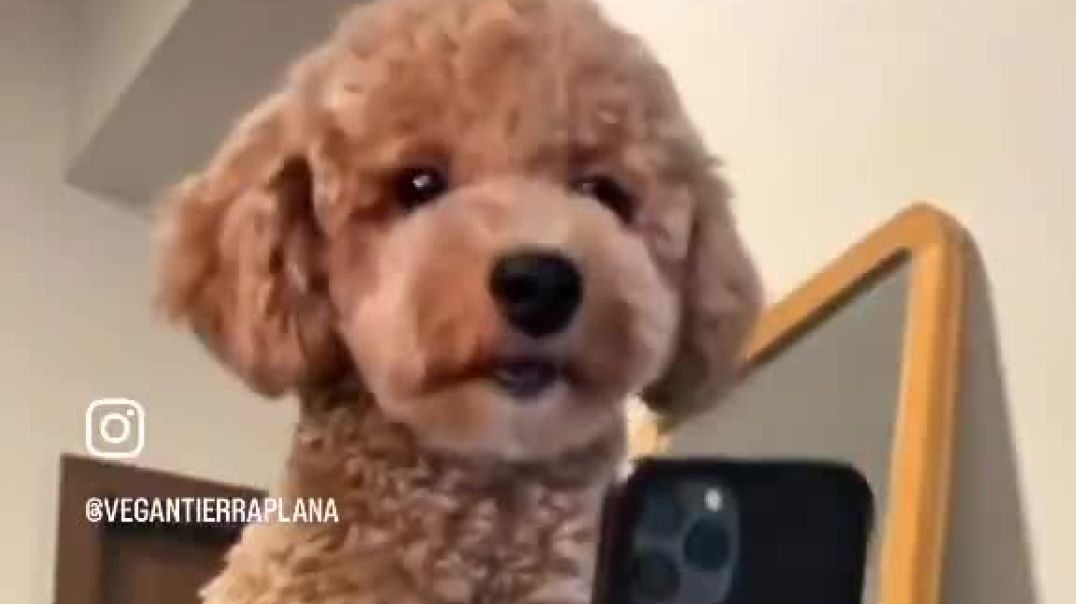 Take all the time you need...