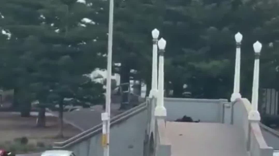 Moment 2nd gunman SHOT by cops, tumbles to ground on Bondi Beach bridge