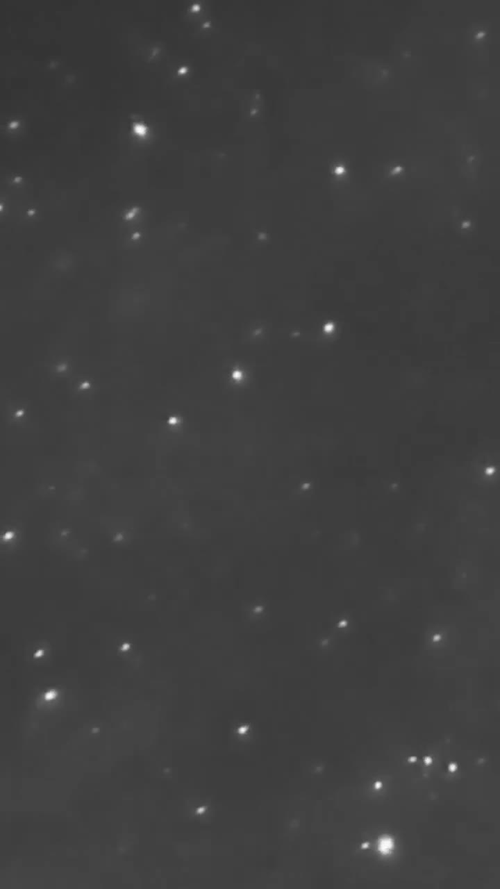 Real footage of two objects travelling through space and both simply disappearing.  Weird.