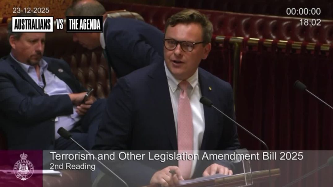 NSW MLC Taylor Martin has taken aim at the NSN while outlining the groups Prime Minister Anthony Albanese has blamed for the Bondi attack.