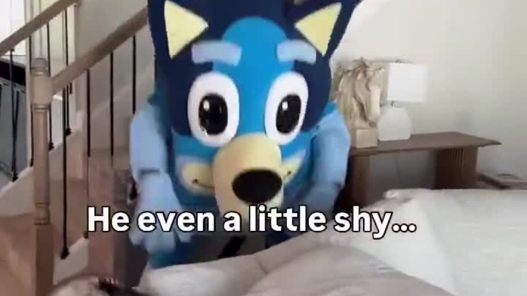 Bluey came over to play