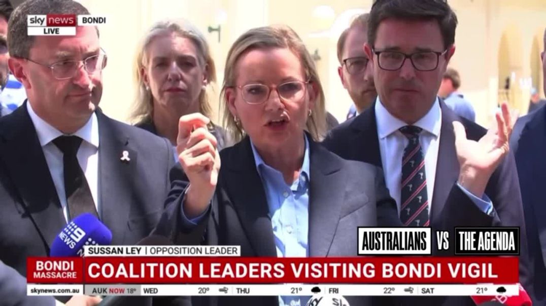 Opposition Leader Sussan Ley says anyone who displayed symbols of hate at the Sydney Harbour Bridge protest should be retrospectively arrested, with non-citizens deported.