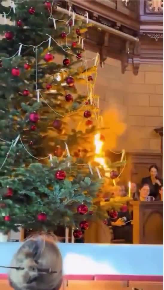 This is the coolest tree lighting I've ever seen