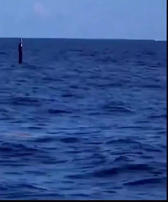 They were alone in the open ocean when a US Navy submarine surfaced beside them, took photos, then disappeared