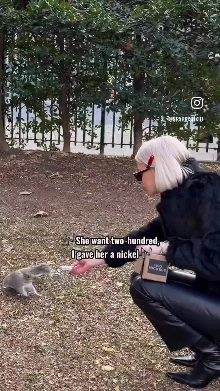 We’ve got Instagram models telling people to hoard physical nickels as an “asymmetric bet” on a government-subsidized metal, and somehow Bitcoin is still the thing people call crazy.