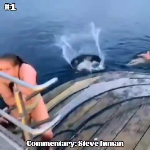 From TikTok to ShiTok Moments