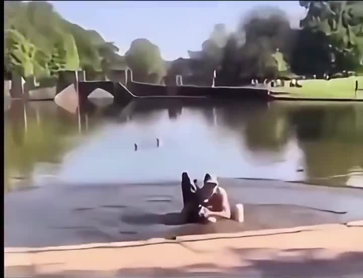 Man pushes photographer into the water destroying her $4000 camera