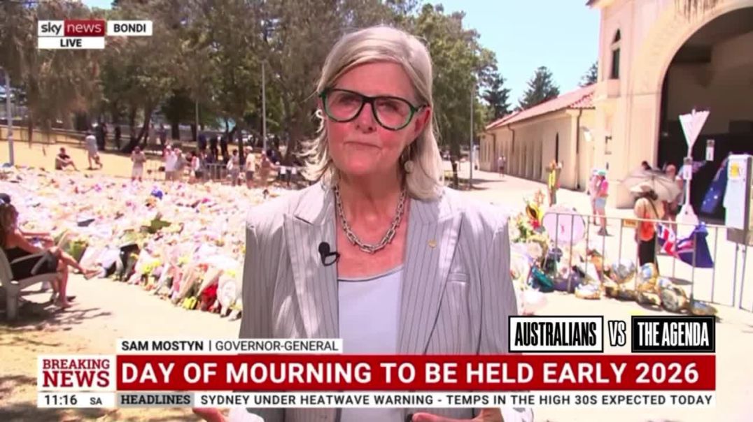 Governor-General Sam Mostyn says that despite “many people yelling at me, telling me I should sack the government,” the proper response is for voters to make their decision at the next election.