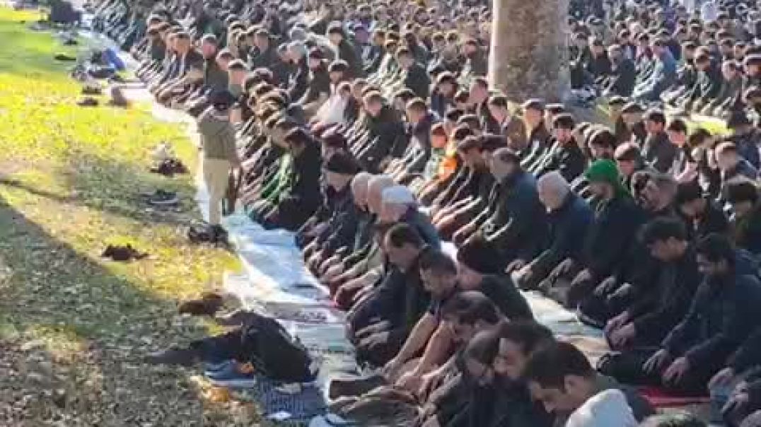 🇦🇺AUSTRALIANS! Your problem isn’t the firearms.