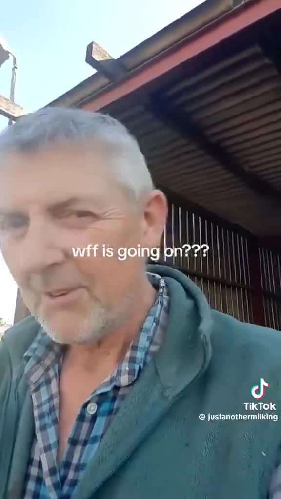 “Normally there are bees and butterflies on these all the time”  “The...