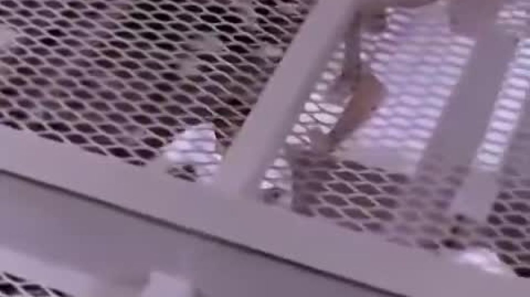 60 Minutes segment on CECOT was briefly released in Canada, documenting treatment of violent illegals who’d been deported from the US to this prison in El Salvador.  Leftists want you to feel sorry fo