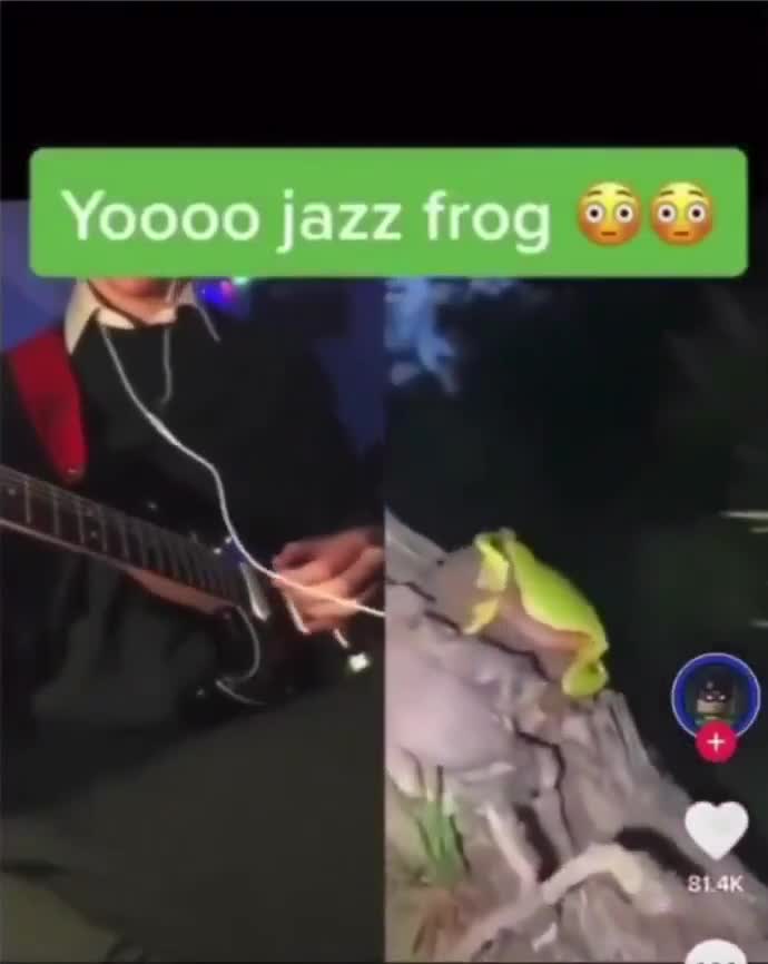 We must never forget the best trend on tiktok