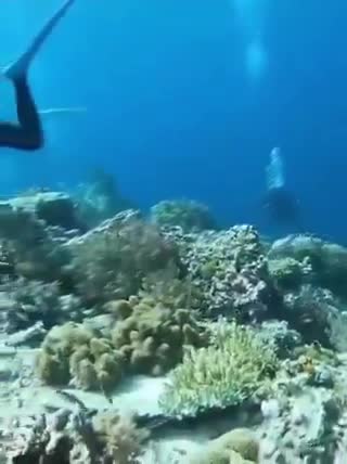 This is what a 7.2 magnitude earthquake looks like underwater