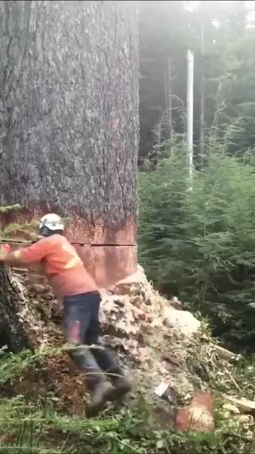 Thousands of years gone, just like that